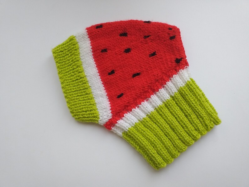 Knitted hat for dog watermelon Etsy