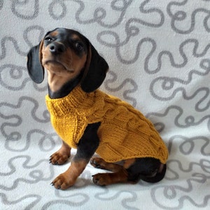 Knitted sweater for dogs, clothes for dachshunds, sweater for dogs, clothes for dogs, sweater for small dogs, dachshund sweater