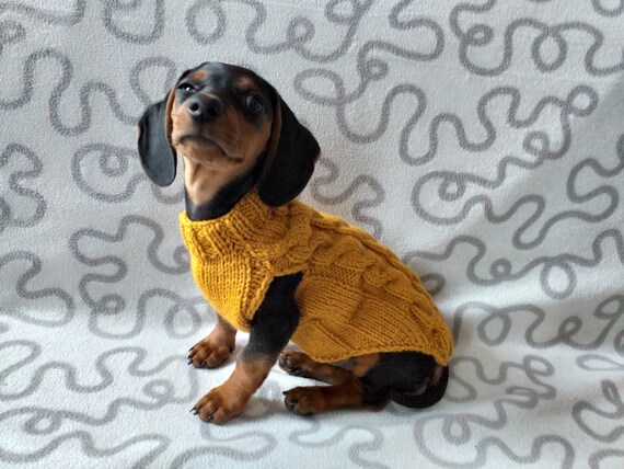 Maglioncino Per Cane Bassotto Hjyokuso - Senza Maniche, Cotone E Spandex, Taglie XS-XL - Foto 6