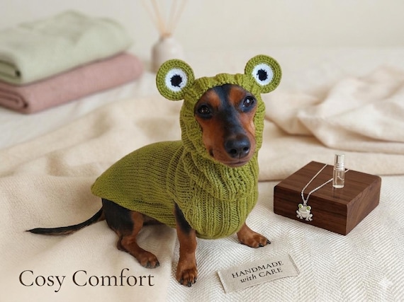 Frog Dog Costume Sweater and Hat Original Pet Outfit Knitted Warm