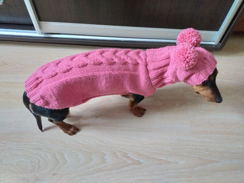 Dachshund Suit Sweater and Hat Knitted Dachshund Clothes Etsy