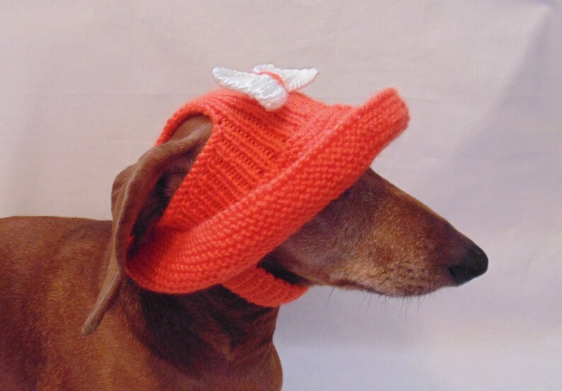 Summer Knitted Hat for Dogs Panama for Dogs Hat for Dogs Etsy
