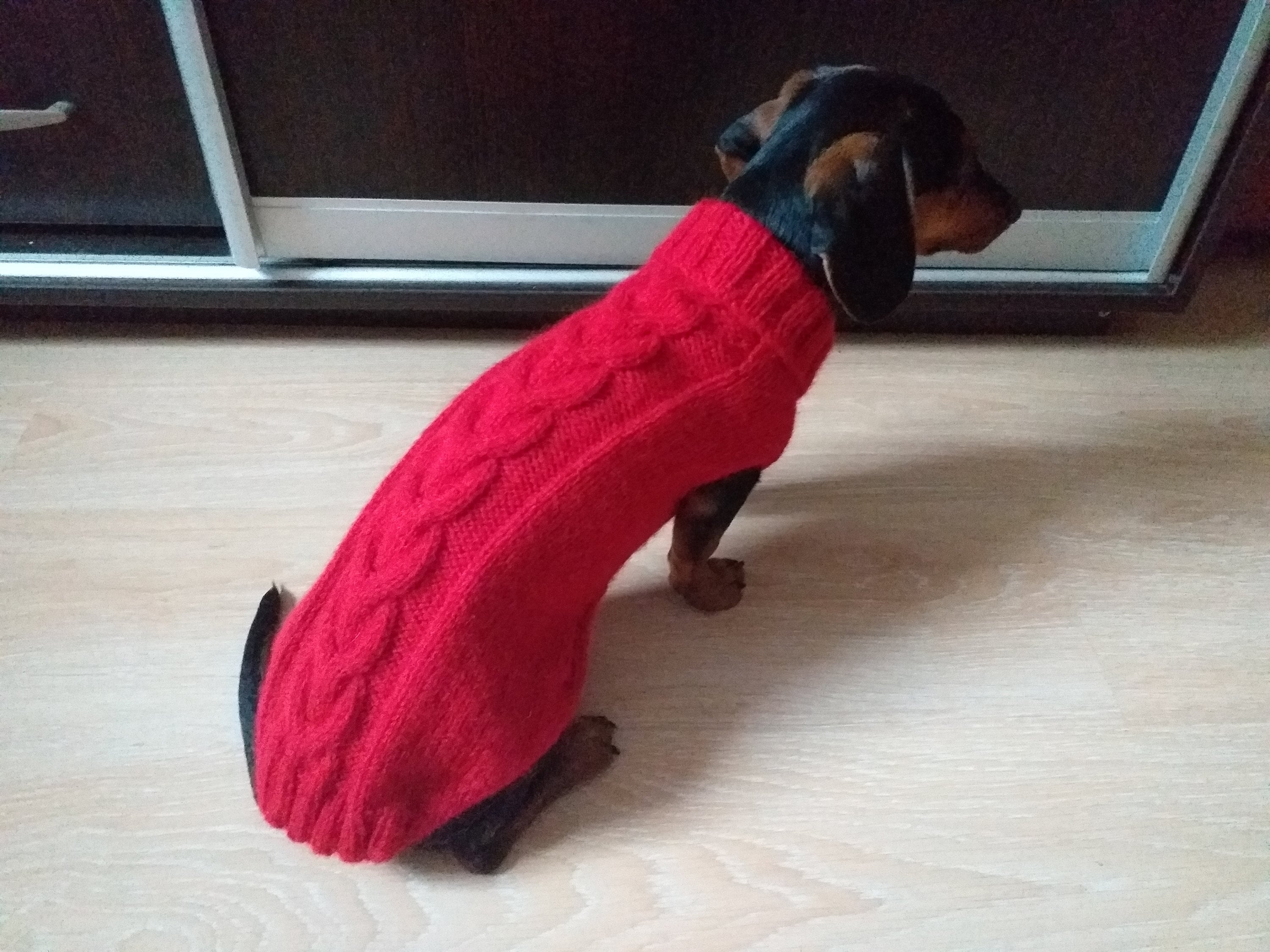 Dachshund clothes knitted sweater knitted wool sweater for Etsy