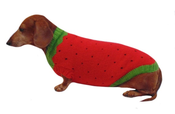 Suéter punto fresa perros ropa para perros salchicha - Etsy España