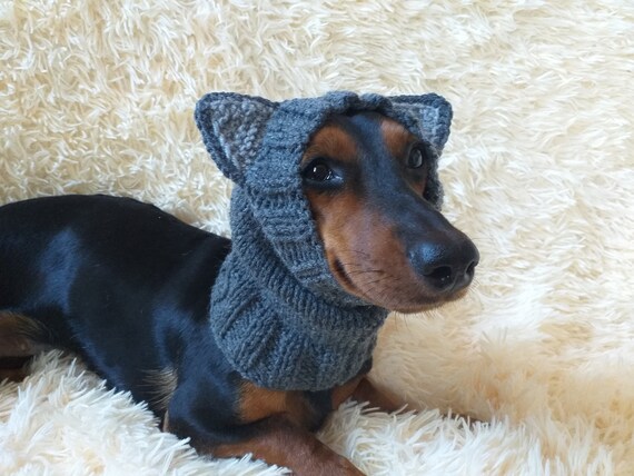 Cappello Da Lupo Per Cani E Gatti, Costume Cosplay Peloso Con Vestibilità Elastica, Divertente Per Feste E Foto