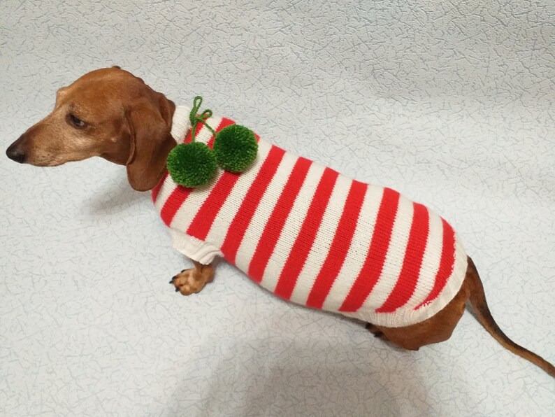 Christmas dachshund clothes with pompons dachshund clothes Etsy