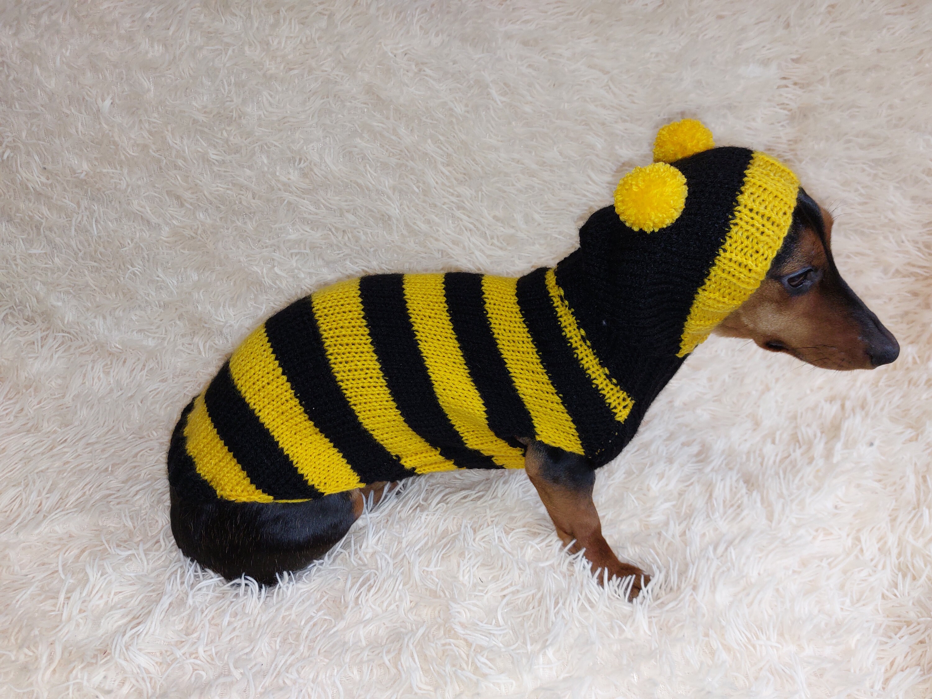 Bee Animal Dog Costume Sweater and Hat Original Pet Outfit Knitted