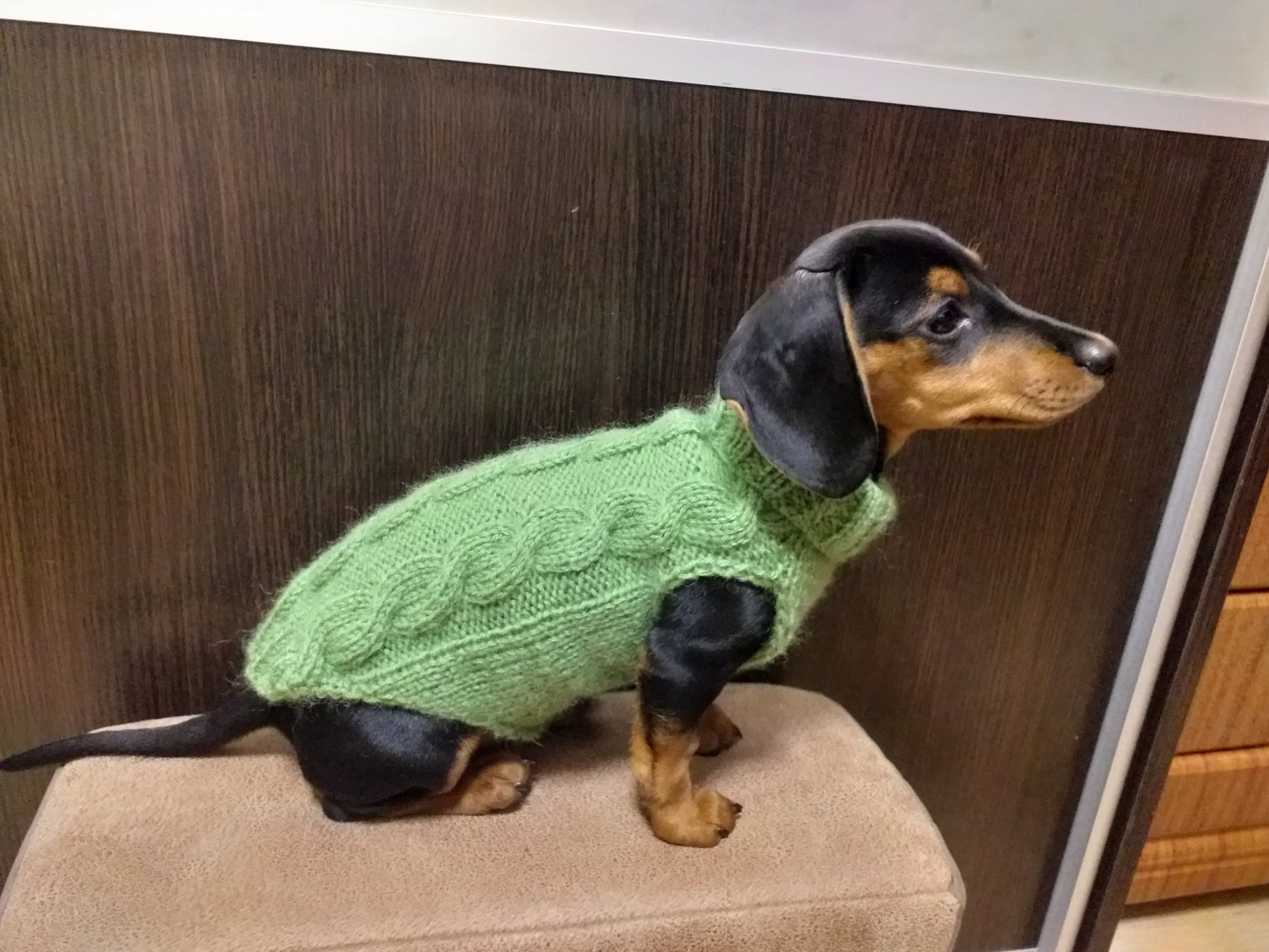 Dachshund clothes knitted sweater knitted wool sweater for Etsy