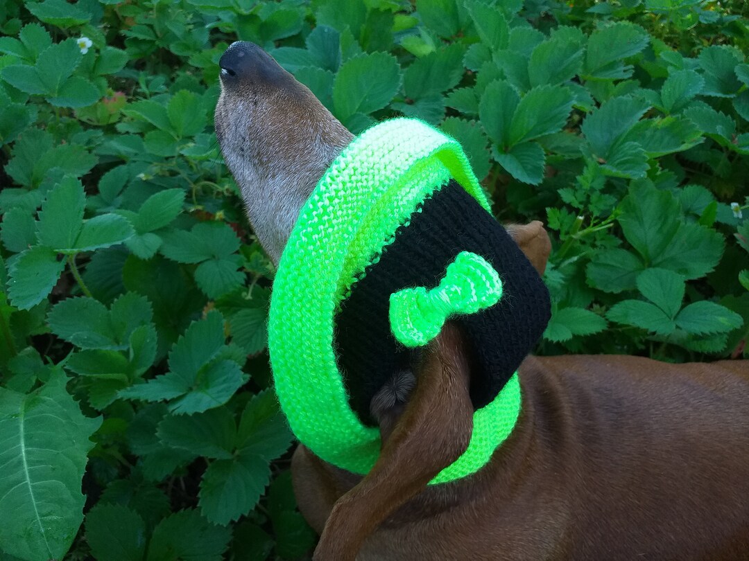 Summer Knitted Hat for Dogs, Panama for Dogs, Hat for Dogs, Hat for