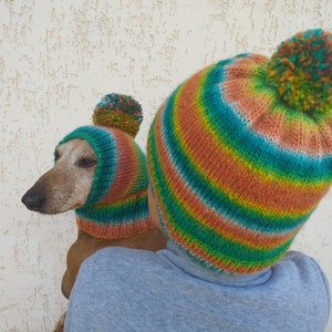 Set of warm wool hats with pom-pom for mom and dachshund, set of knitted hats with pom-pom for hostess and dog image 5