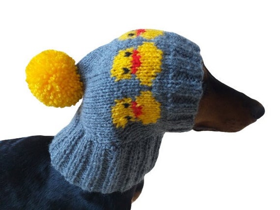 Duck Clothes Hat for Dachshund or Small Dog - Etsy New Zealand
