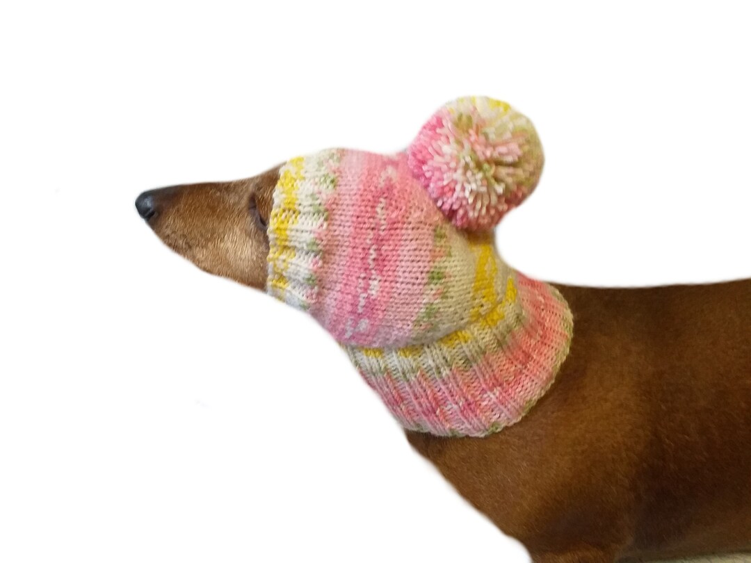 Knitted Dachshund Hat With Big Pompom Doxie Clothes Doxie Etsy