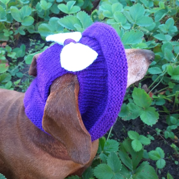 Small Dog Hat Etsy