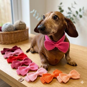 Knitted collar with bow dog or cat, beautiful neckband for pet photo shoot, holiday gift for dogs lover