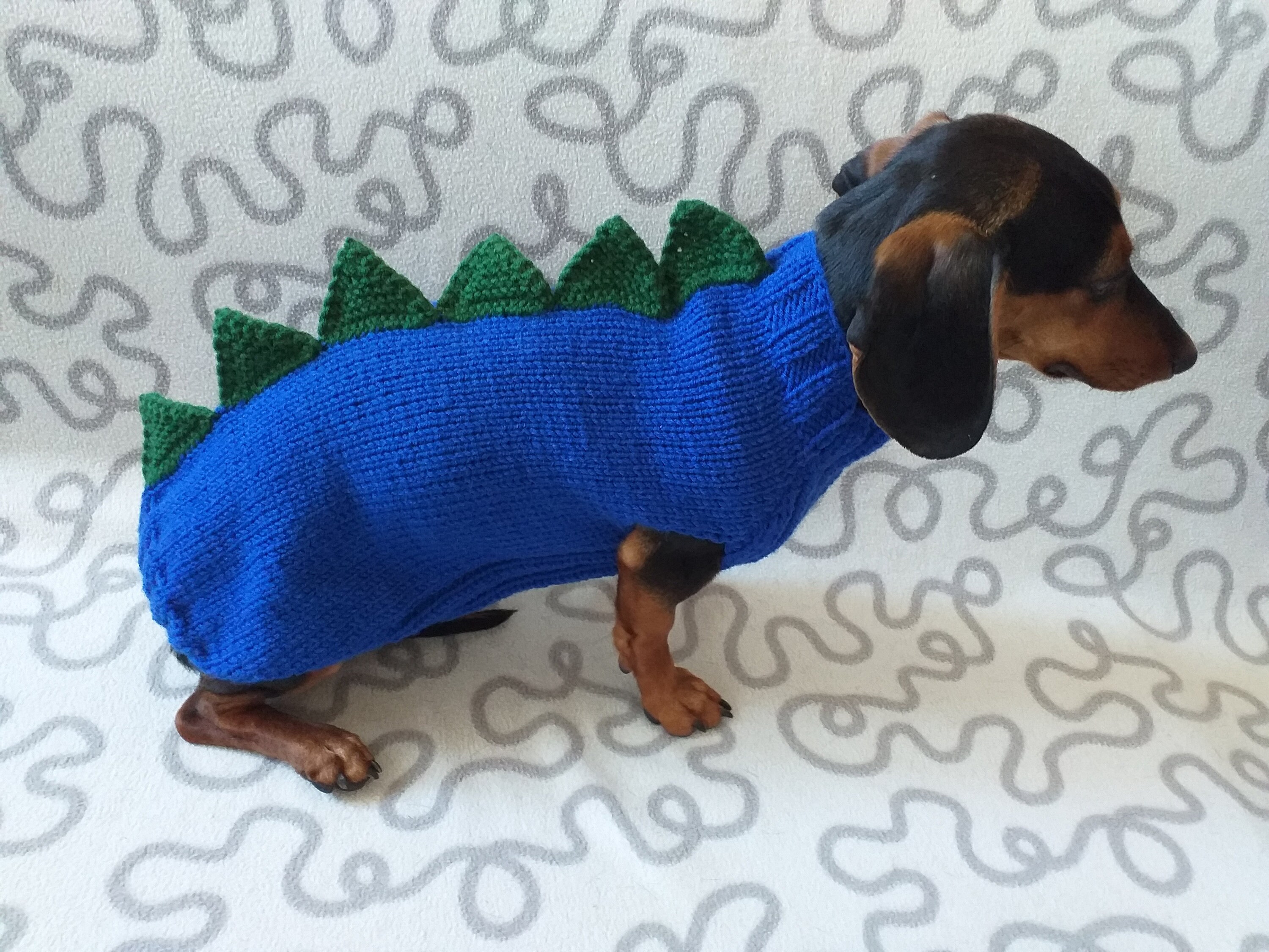 Dino dog clothes sweater dinosaur for small dogs zoo dog Etsy
