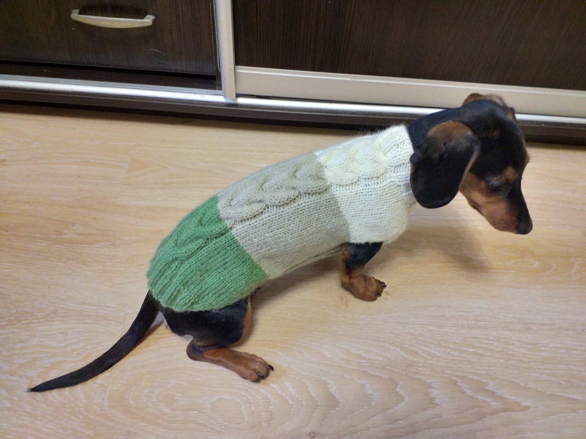 Green Dog Sweater
 Green Tricolor Dog Sweater Three color Knitted Sweater for Etsy