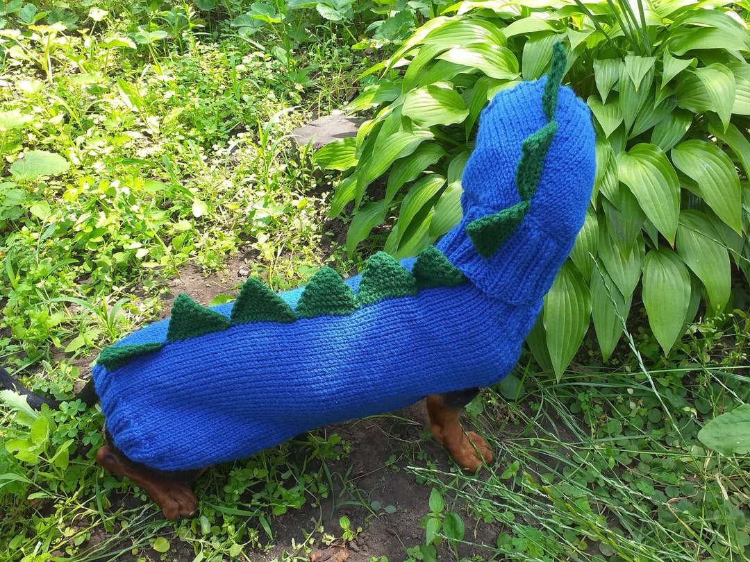 Dino Dog Cloches Dino Costume for Dogs Dachshund Dinosaur Etsy