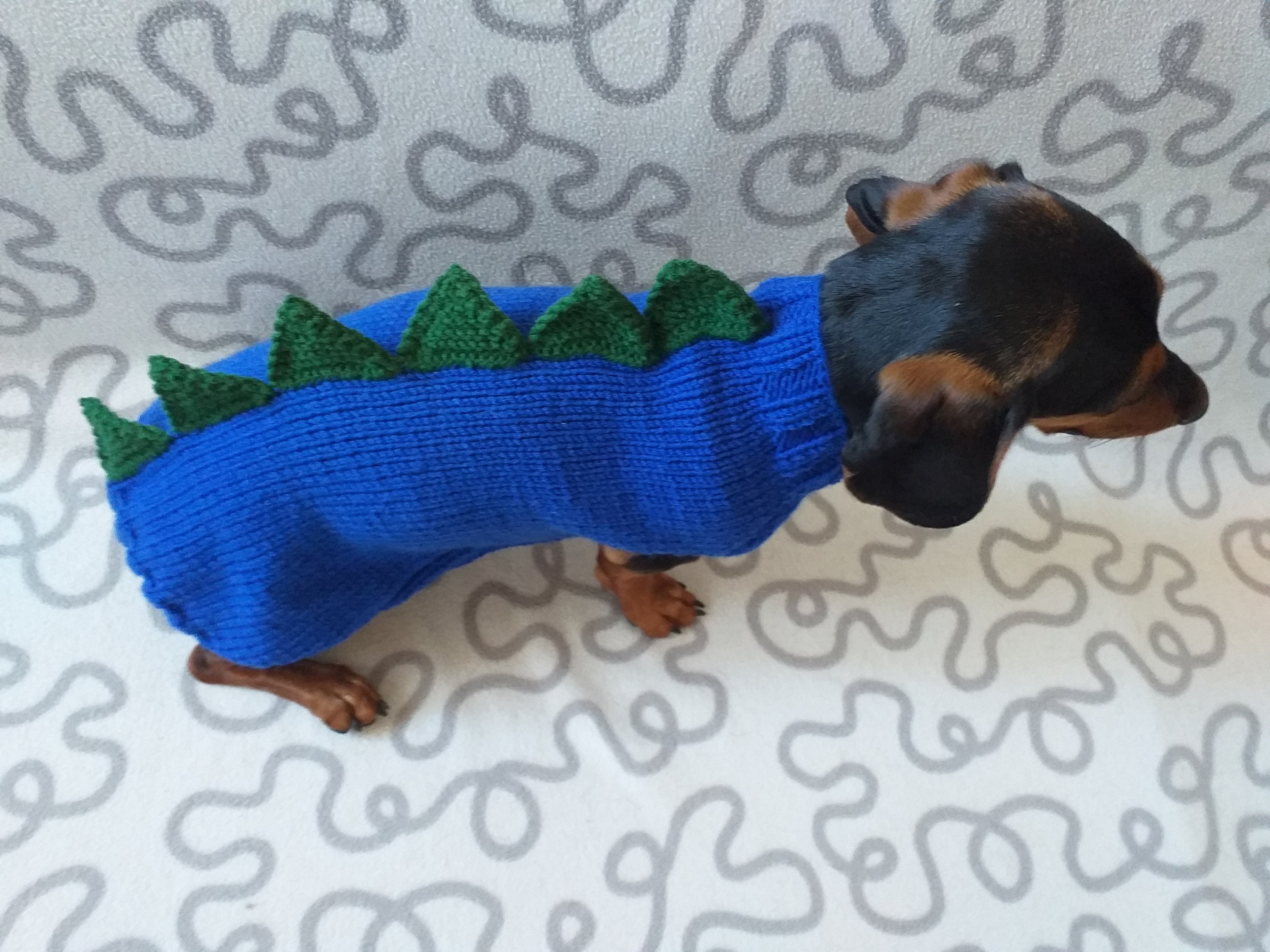 Dino Dog Clothes Sweater Dinosaur for Small Dogs Zoo Dog Etsy UK
