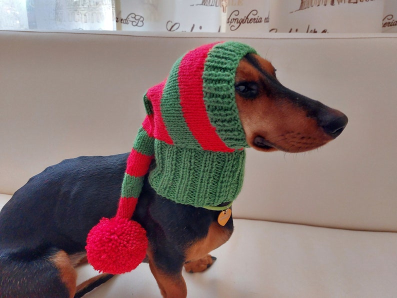 Christmas Hat for Dog Santa Hat for Dog Hat for Dog Hat for Etsy