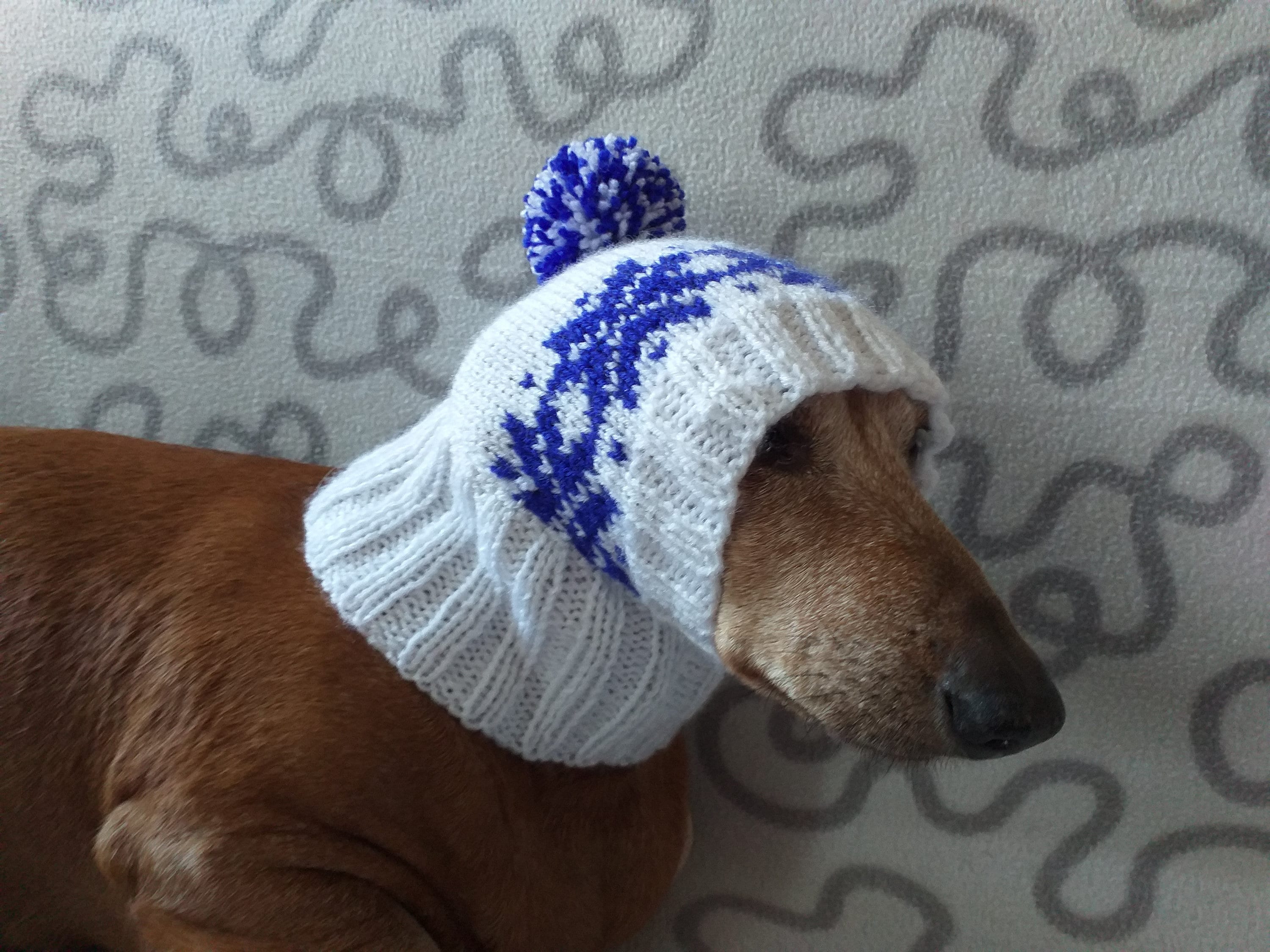 Warme Mütze für Hund oder Katze Hut für Hund Hut für kleinen Etsy