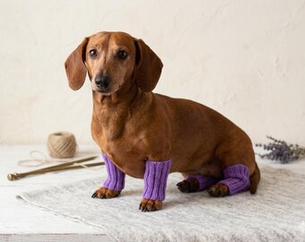 Custom Dog Leg Warmers for Dachshunds, Knitted Pet Leggings, Dog Winter Apparel, Handmade Leg Protectors for Dogs, Weiner Dog Accessories