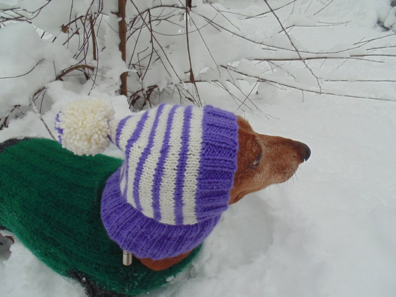 Winter gestrickte Mütze für kleine Hund Hut für Hunde Etsy