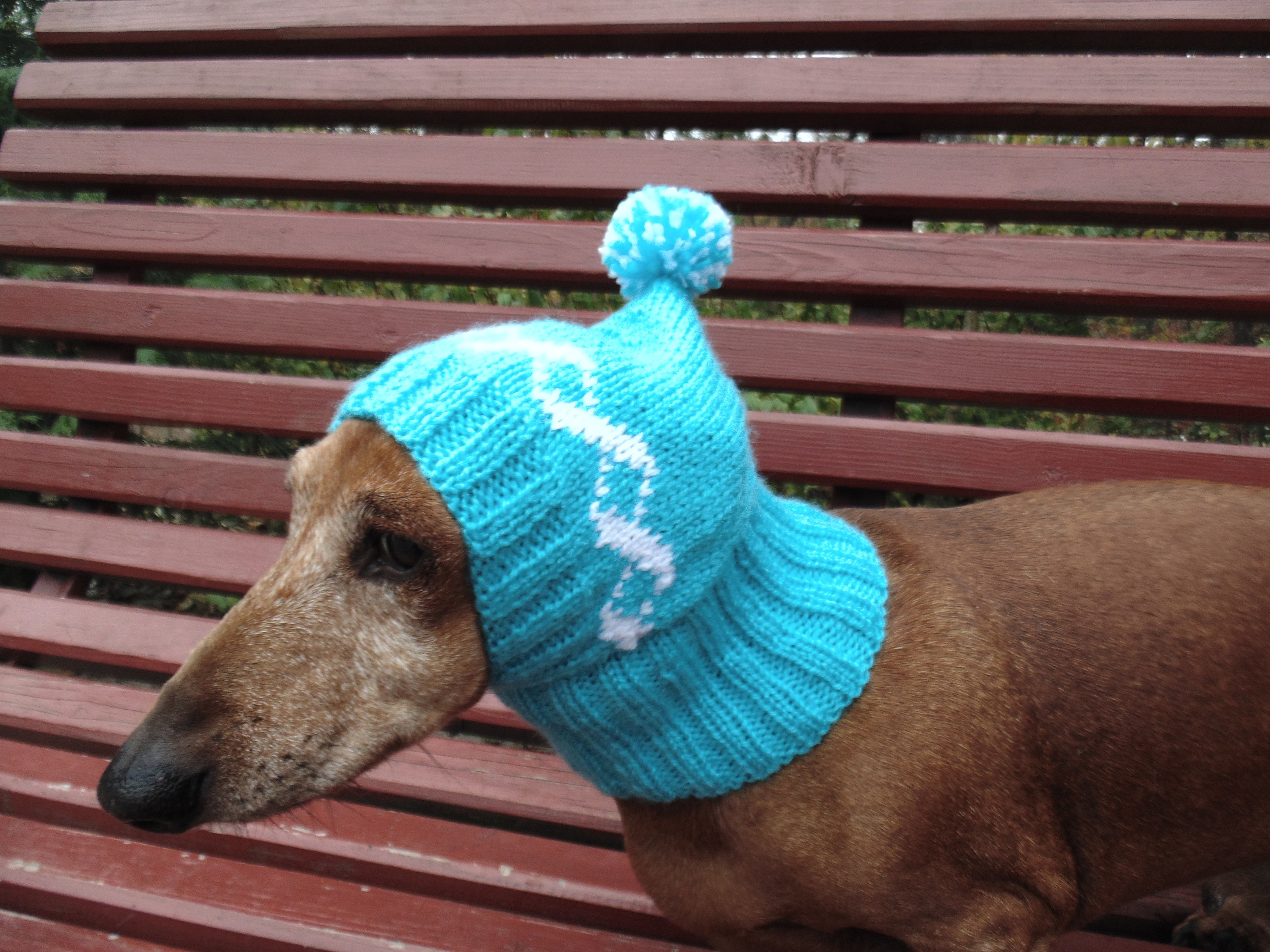 Winter Knitted Hat for Small Doghat for Dogs Pet Clothes Etsy