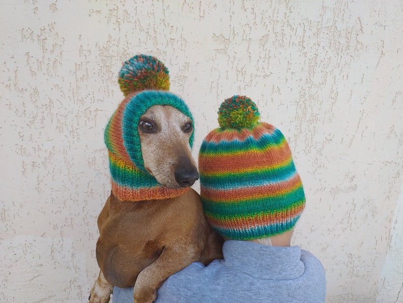 Set of warm wool hats with pom-pom for mom and dachshund, set of knitted hats with pom-pom for hostess and dog image 1