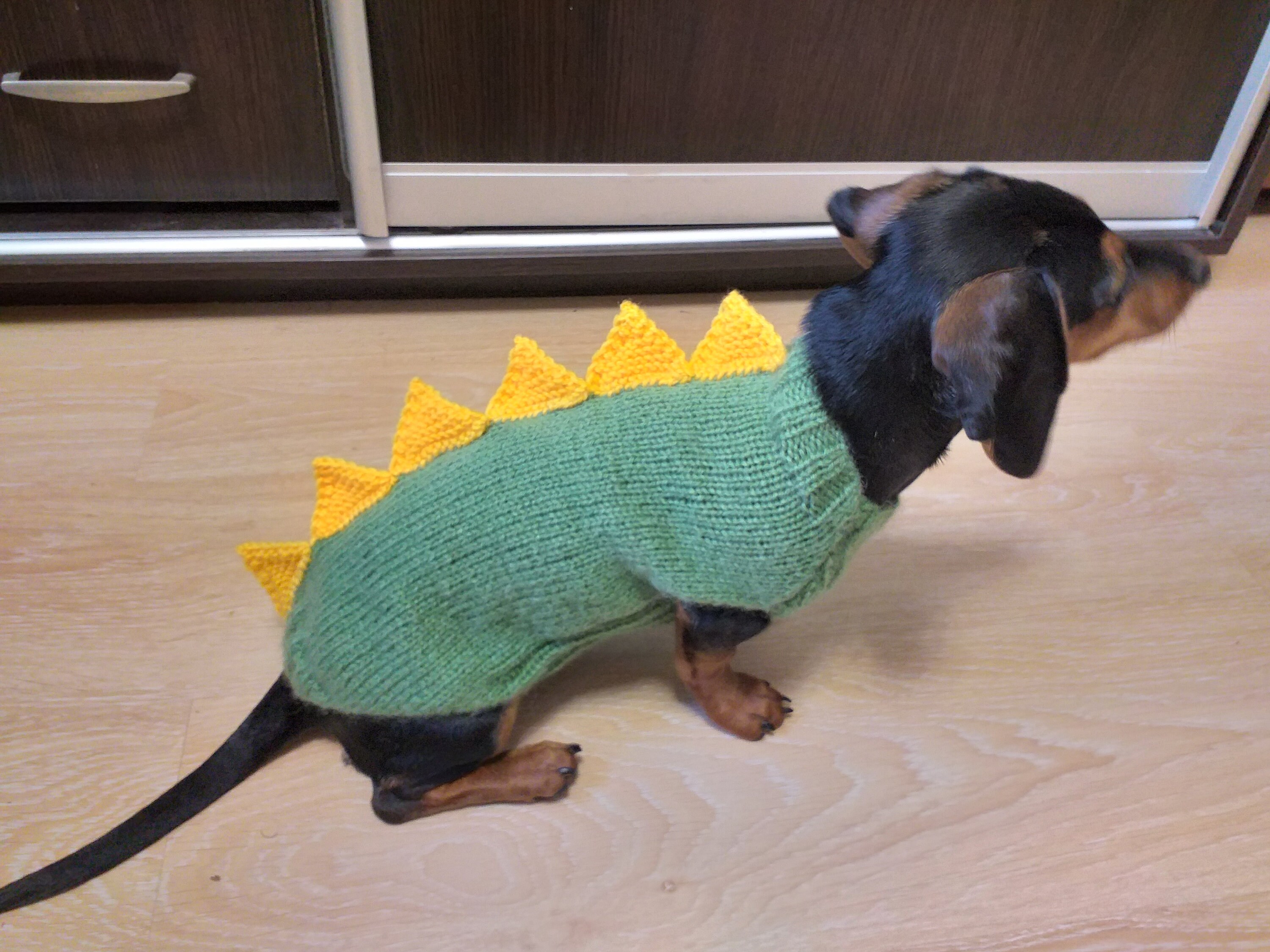 Dinosaur sweater for small dog clothes for dog dinosaur Etsy
