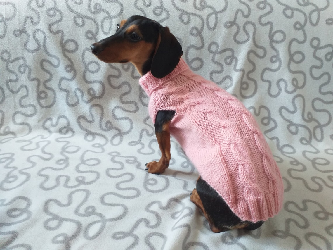 Dachshund clothes knitted sweater knitted wool sweater for Etsy