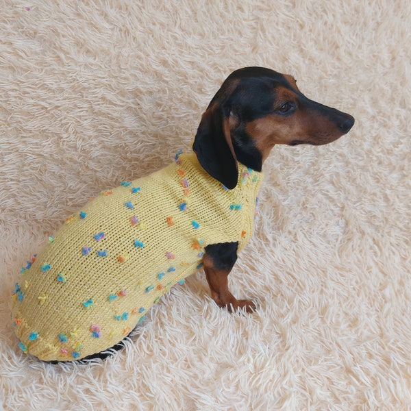 New exclusive collection of sweaters with flowers and butterflies for the miniature dachshund or small dog