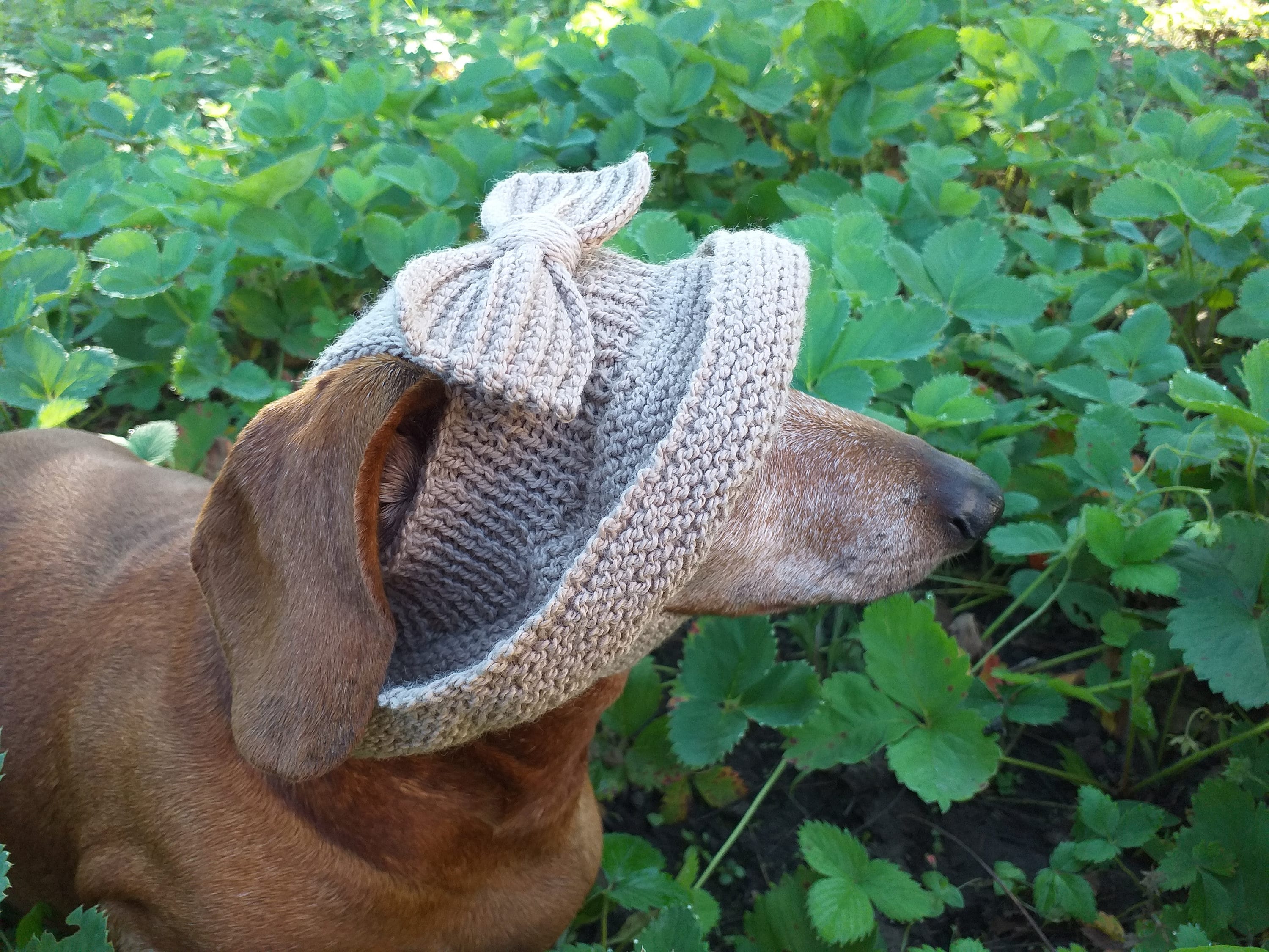 Sommer gestrickte Mütze für Hunde Panama für Hunde Hut für Etsy