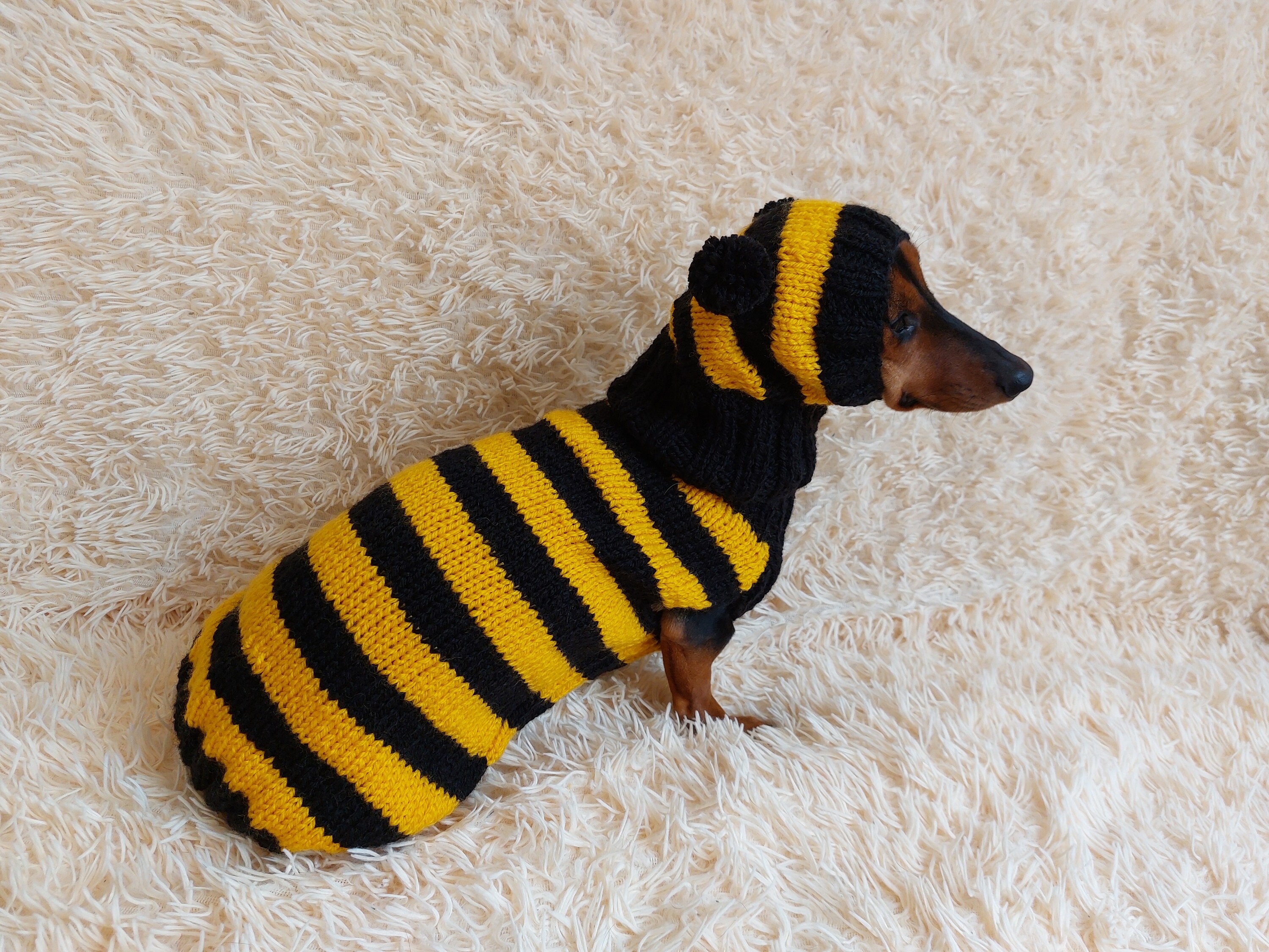 it-dogs BEEトップス S BEEトップスXS S - BEE Dog BEEトップスXSit