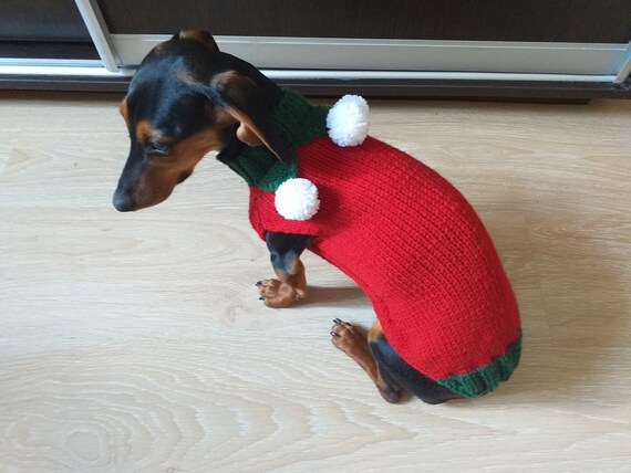 dog elf jumper
