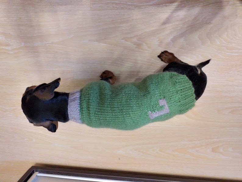 Personalized Dog Sweater With Initials Dog Clothes With Etsy