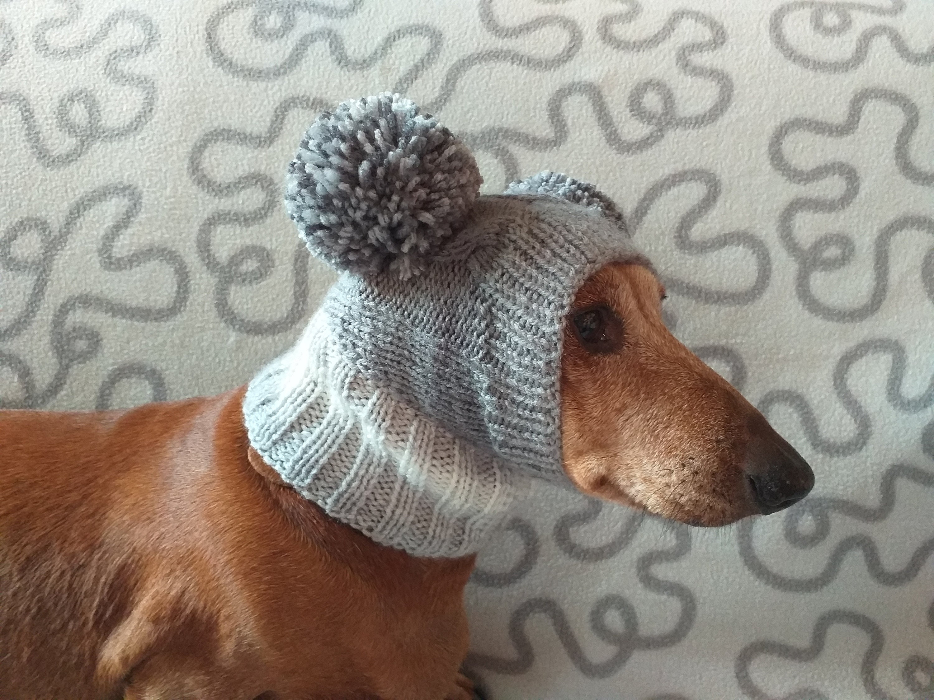 Knitted hat for dog with two large pompons Etsy