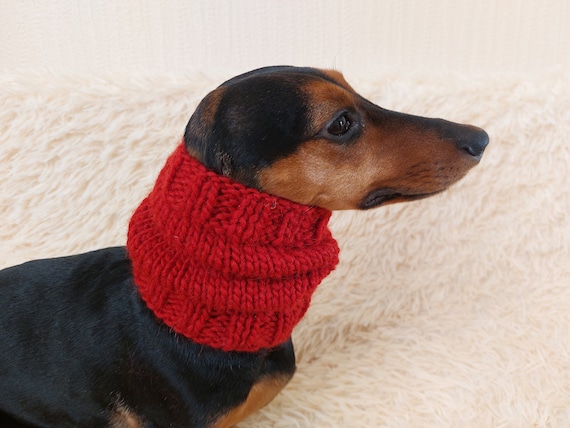 Knitted Angora Wool Snood for Dog, Hat Scarf Snud for Dog, Dog