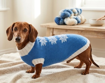 Può includere: Un bassotto marrone indossa un maglione lavorato a maglia blu per cani con motivi a fiocchi di neve bianchi e bordi a coste bianchi intorno al collo e alle aperture per le zampe. Il maglione copre il busto del cane.