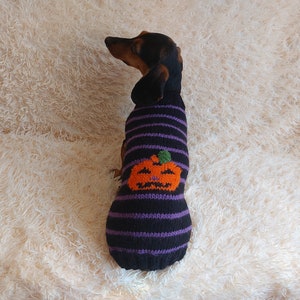 Pumpkin Dog Sweater: Halloween Pet Costume