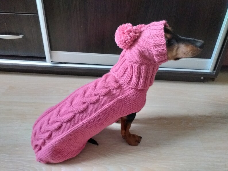 Dachshund Suit Sweater and Hat Knitted Dachshund Clothes Etsy