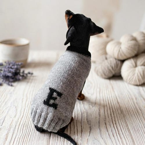 Personalized Angora wool sweater with letter of your pet's name: custom-made warm knitted clothing for your dachshund monogrammed outfit