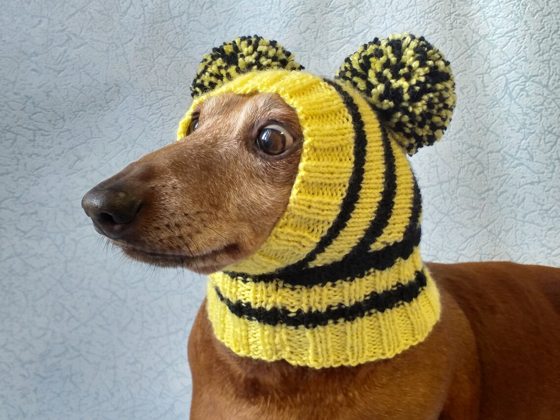 Bee knitted hat for dachshund with two pompons Etsy