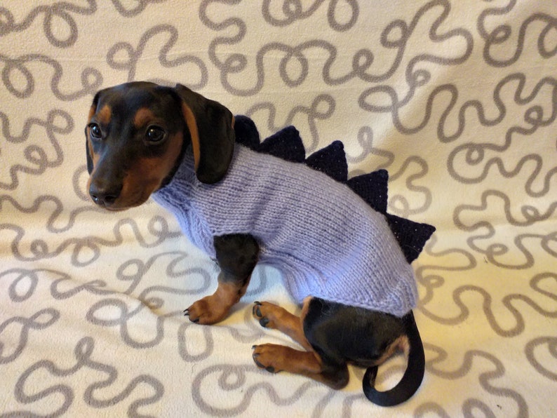 Dachshund Dinosaur Knitted Sweater Dinosaur Sweater for Dogs Etsy