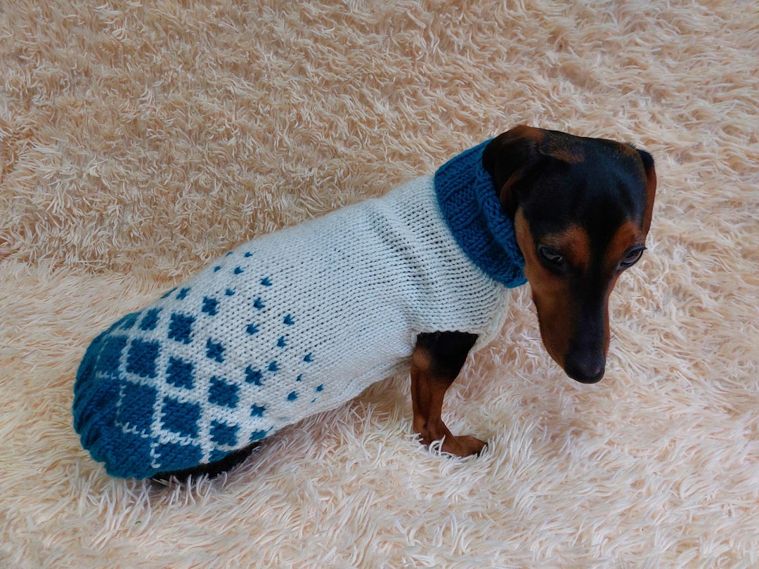 Chocolate Embroidered Dog Knit Two Piece Set for Spring Elegant Style Unisex Dog Outfit main image 1