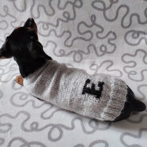 Suéter de perro personalizado con iniciales, ropa para perro con letra de nombre, ropa para perro con iniciales, suéter de perro con monograma