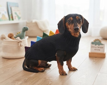 Rainbow  Dachshund Dinosaur Sweater, Knitted Dog Clothes, Cute Puppy Dino Jumper, Handmade Pet Apparel, dog Winter Outfit, Custom Dog Gift