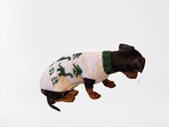 Dog hot sale dinosaur sweater