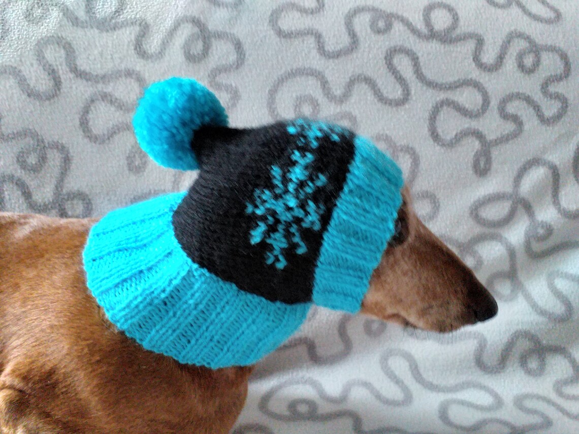 Winter knitted hat for small doghat for dogs pet clothes Etsy