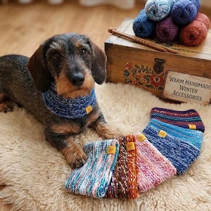 Puede incluir: Un perro salchicha con un cuello tejido azul, con varios otros cuellos tejidos coloridos exhibidos. Una caja de madera con lana y agujas de tejer está en el fondo. La caja tiene el texto "Warm Handmade Winter Accessories".