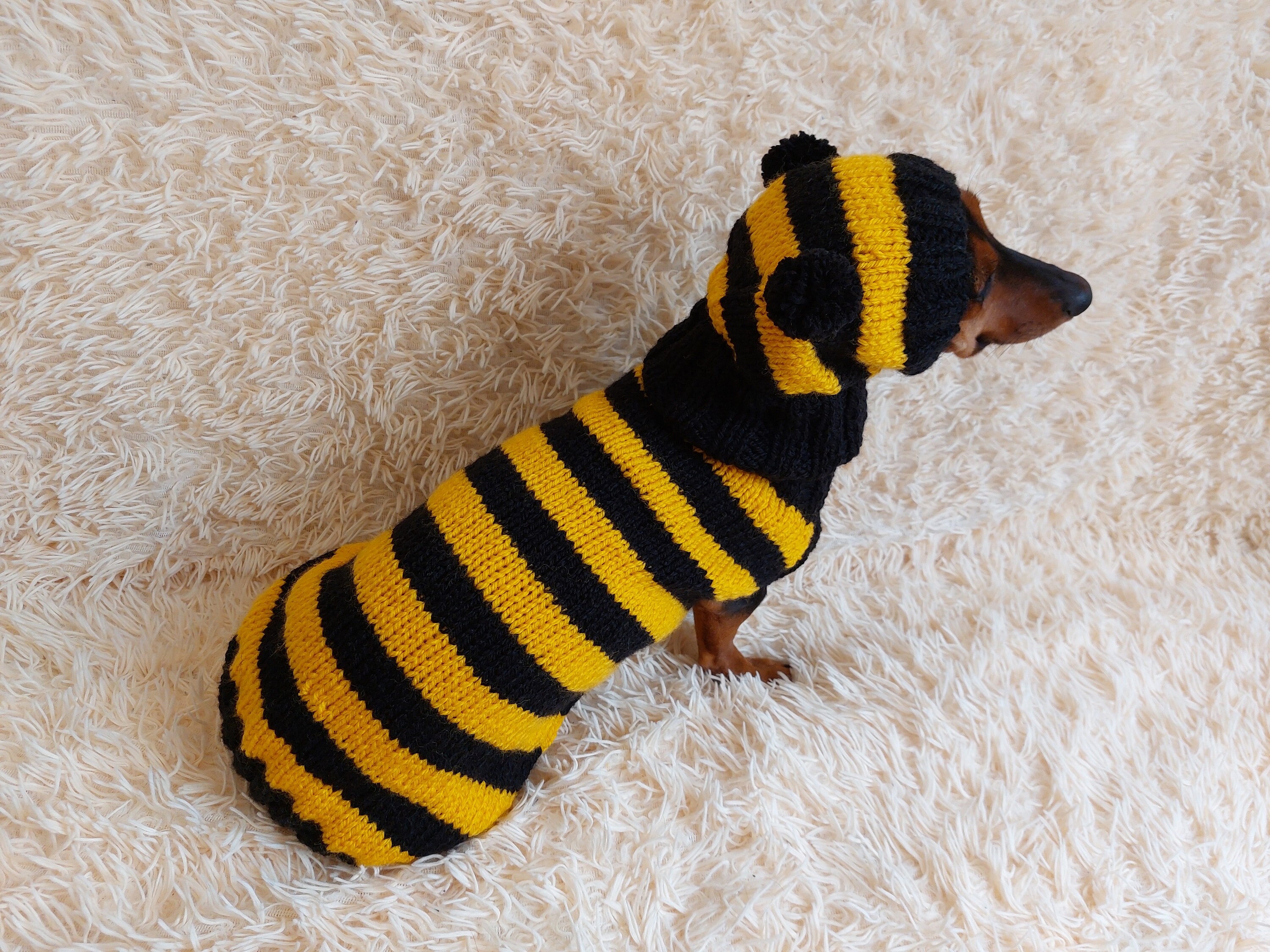 Bee Animal Dog Costume Sweater and Hat Original Pet Outfit Knitted